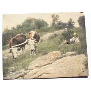 Antique Boy & Cows Alfred S. Campbell Art Relievo 3-Dimen Embossed Photo